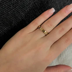 Arianna Ring | 18K vergoldet