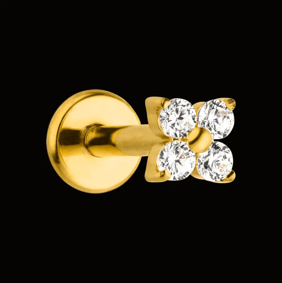 Cute Four Piercing | Titan