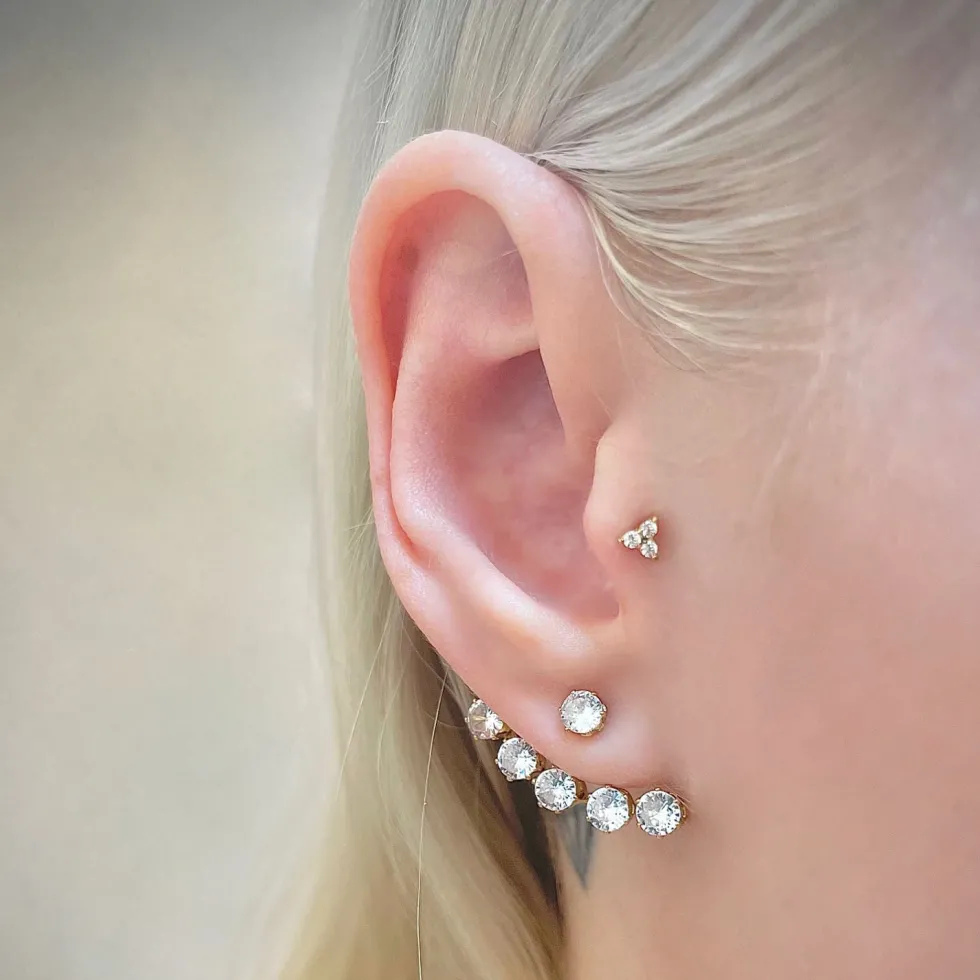Cute Three Piercing | Titan
