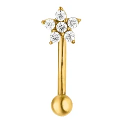 Flower Rook Piercing | Chirurgenstahl