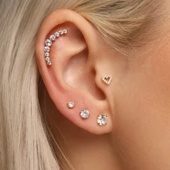 Heart Piercing | Titan
