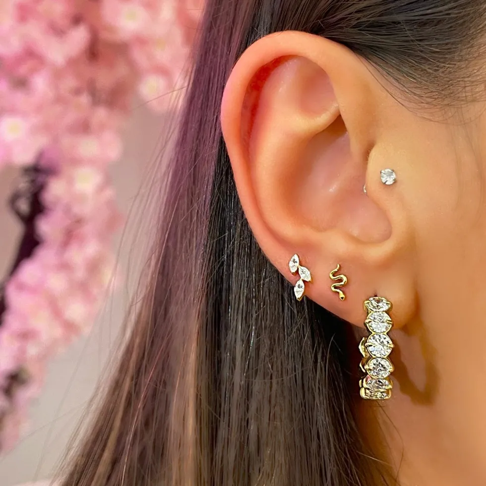 Leaves Piercing | Titan