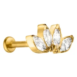 Lotus Piercing | Titan
