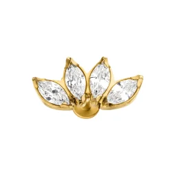 Lotus Piercing | Titan