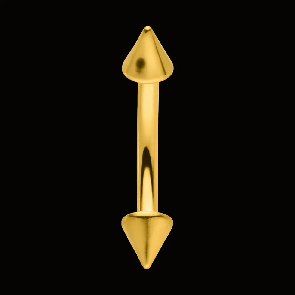 Spike Rook Piercing | Titan