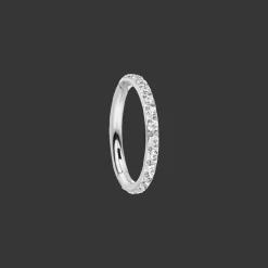 Zircon Clicker | Nasen- & Ohrpiercing